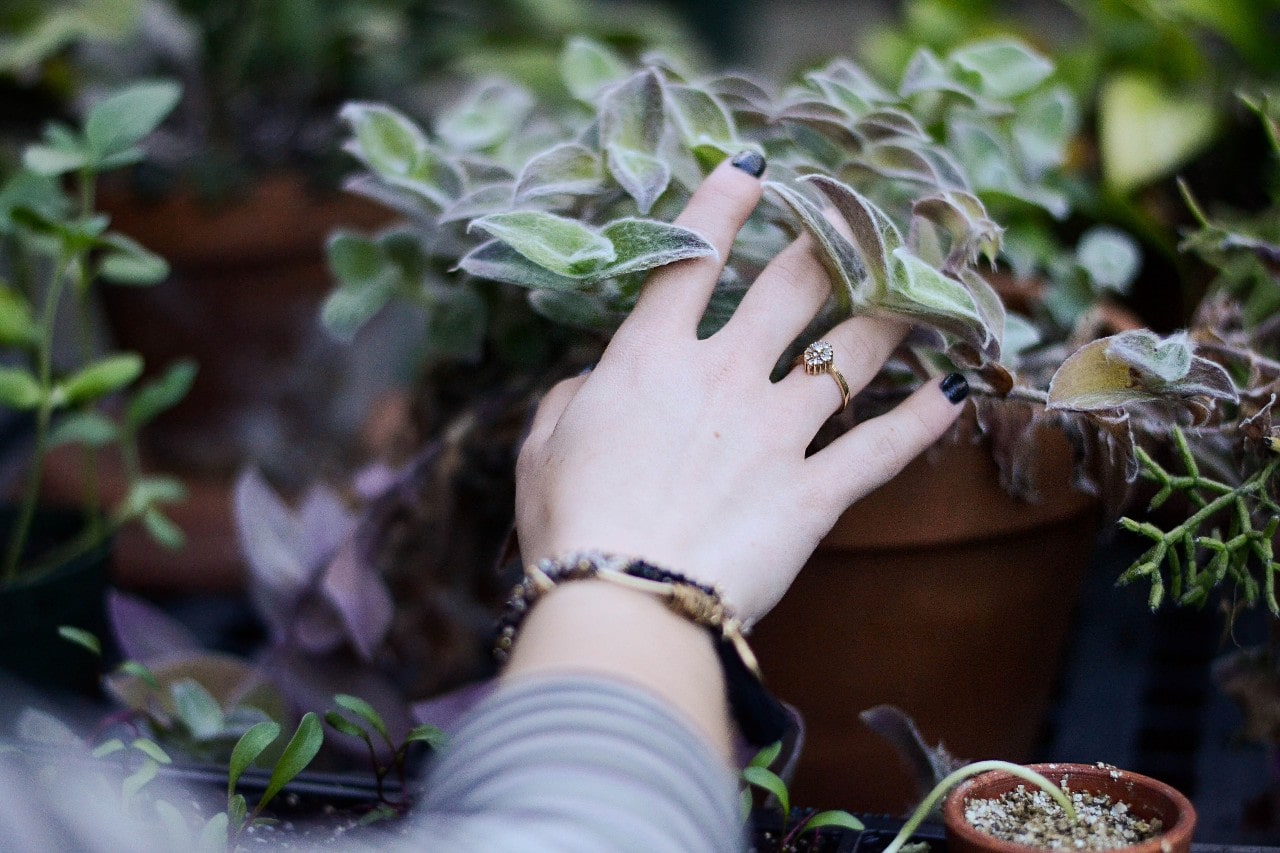 Woman wearing a fashion ring on the ring finger puts her hand through a bush